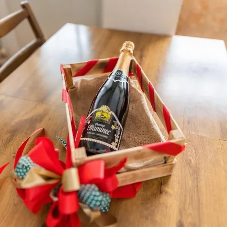 The Vintage Nest סקופיה